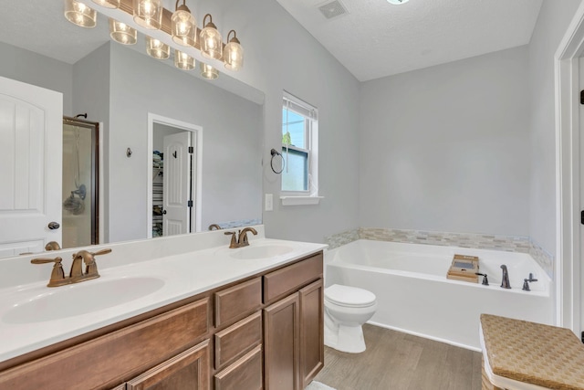 2095 Longhunter Chase Dr, Spring Hill, TN 37174 - full bath featuring visible vents, a sink, a bath, and wood finished floors