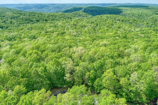 0 Oesterman Dr, Monterey, TN 38574