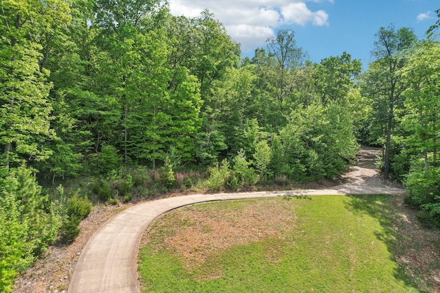 1792 Antler Rd, Woodlawn, TN 37191 - exterior space featuring a lawn and a forest view