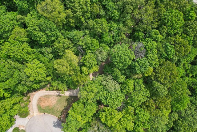 1792 Antler Rd, Woodlawn, TN 37191 - aerial view
