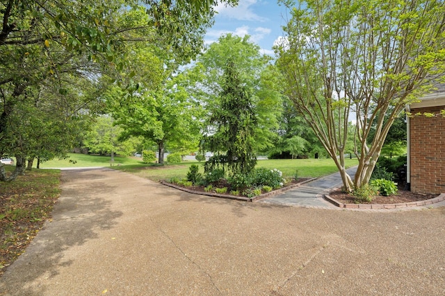 1101 Cross Creek Dr, Franklin, TN 37067 - view of property's community featuring a lawn