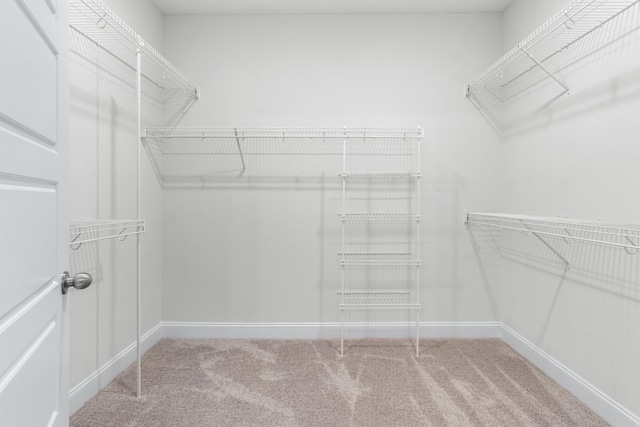 1413 Dan Brown Dr, Clarksville, TN 37042 - spacious closet featuring carpet flooring