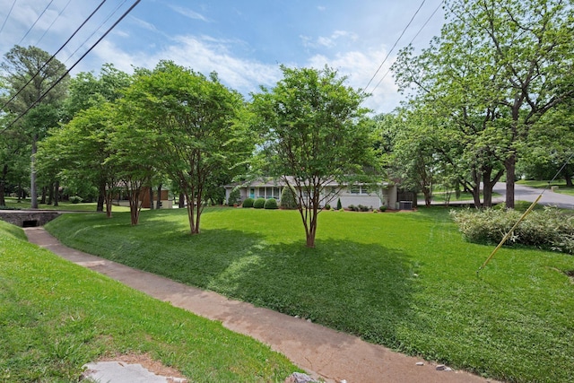 704 Vantrease Rd, Madison, TN 37115 - photo 8