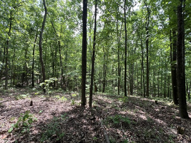 269 Eagle View Dr, Dover, TN 37058