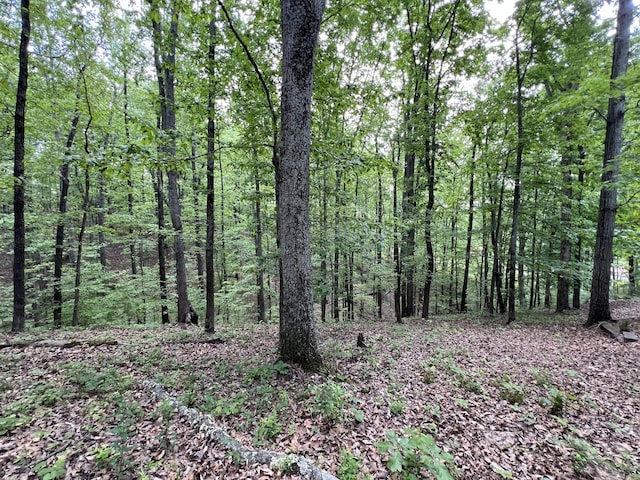 269 Eagle View Dr, Dover, TN 37058