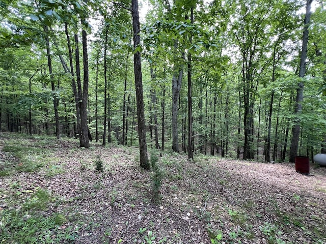 269 Eagle View Dr, Dover, TN 37058