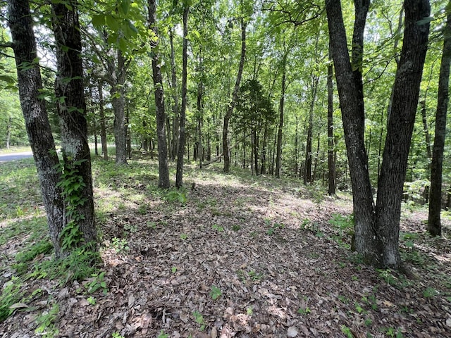 269 Eagle View Dr, Dover, TN 37058