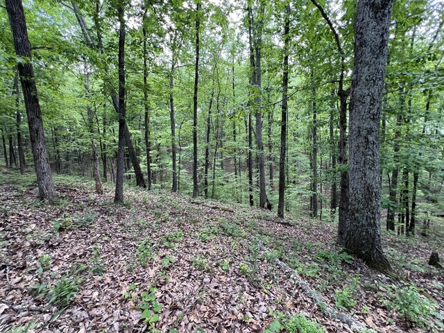 269 Eagle View Dr, Dover, TN 37058