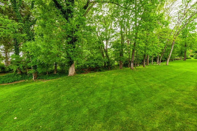 1092 Summerstar Cir, Gallatin, TN 37066 - view of yard