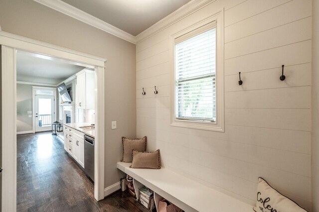 1092 Summerstar Cir, Gallatin, TN 37066 - mudroom featuring crown molding, dark wood finished floors, and a wealth of natural light