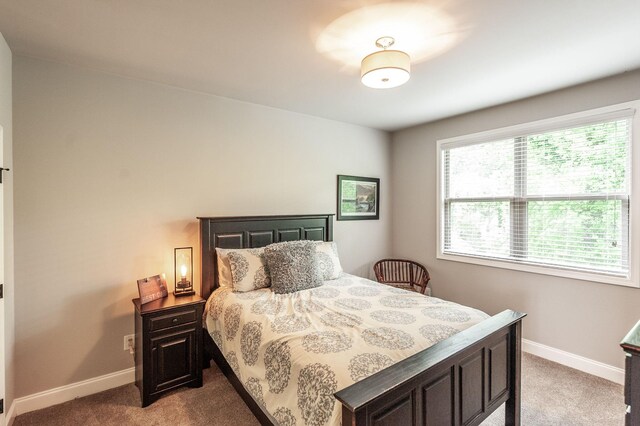 1092 Summerstar Cir, Gallatin, TN 37066 - bedroom with baseboards and carpet