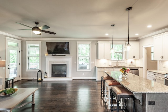 1092 Summerstar Cir, Gallatin, TN 37066 - kitchen with stainless steel dishwasher, crown molding, a healthy amount of sunlight, and ceiling fan