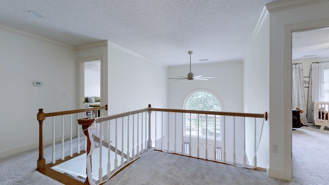 114 Blantonwood Dr, Tullahoma, TN 37388 - photo 26