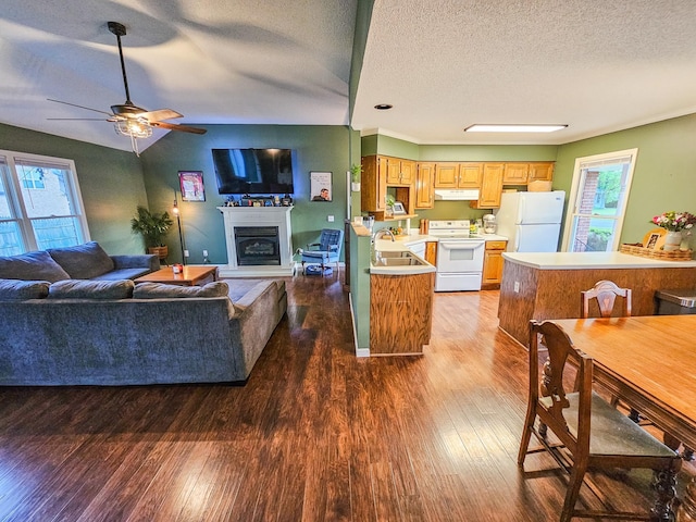 103 Hillcrest Dr, Tullahoma, TN 37388 - living area featuring wood finished floors, a fireplace with raised hearth, a textured ceiling, and a ceiling fan