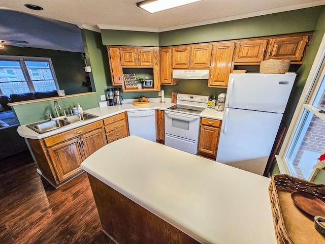 103 Hillcrest Dr, Tullahoma, TN 37388 - kitchen featuring white appliances, under cabinet range hood, a sink, a peninsula, and dark wood-style flooring