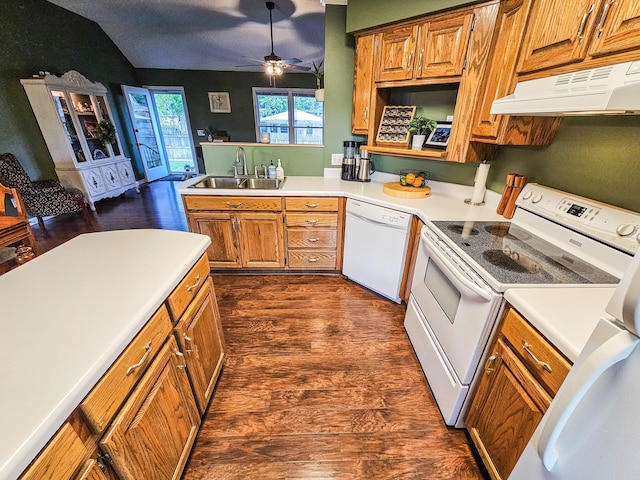 103 Hillcrest Dr, Tullahoma, TN 37388 - kitchen featuring white appliances, under cabinet range hood, a sink, brown cabinetry, and dark wood-type flooring