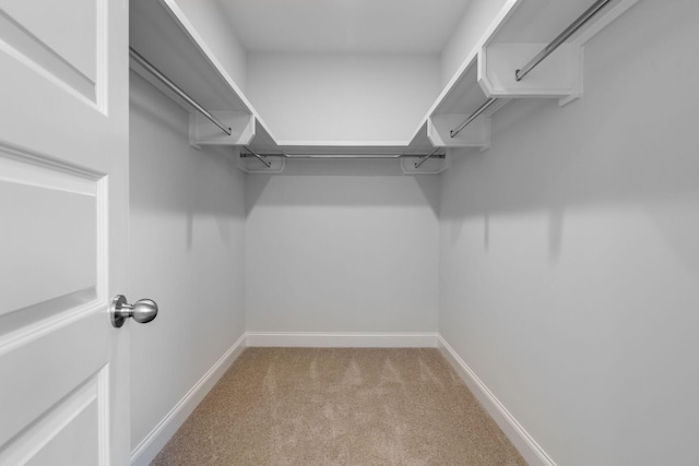 spacious closet with carpet