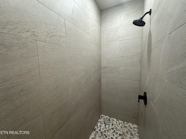 552 Vista View Pkwy, Jamestown, TN 38556 - bathroom with a tile shower