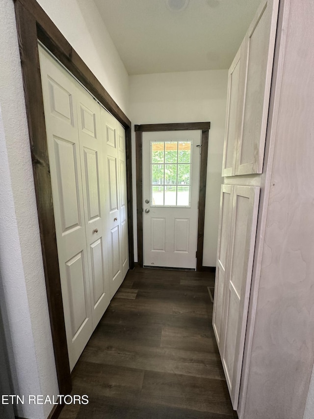 1173 Terry Ln, Jamestown, TN 38556 - entryway featuring dark wood-type flooring