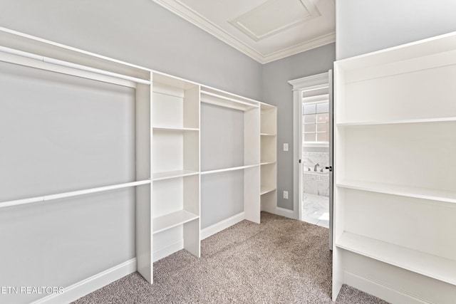8508 Flowering Peach Ln, Knoxville, TN 37923 - spacious closet with attic access and carpet