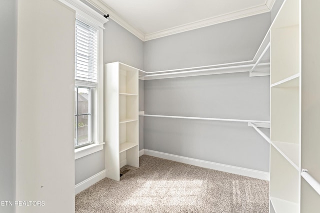 8508 Flowering Peach Ln, Knoxville, TN 37923 - walk in closet featuring carpet