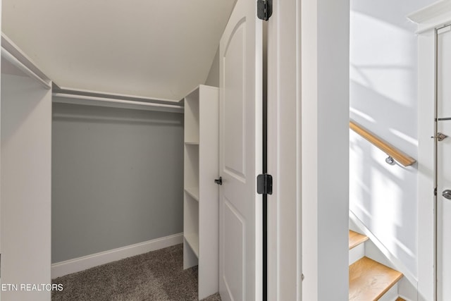 8508 Flowering Peach Ln, Knoxville, TN 37923 - walk in closet with carpet flooring
