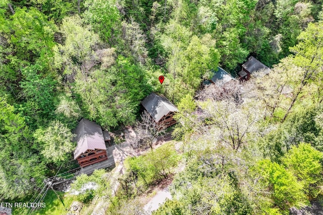 drone / aerial view