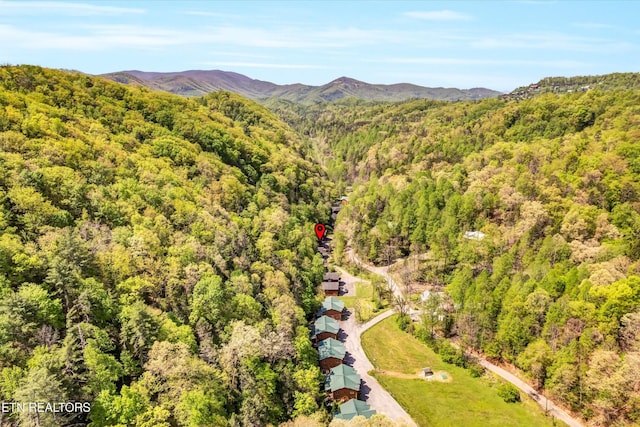 bird's eye view with a view of trees and a mountain view