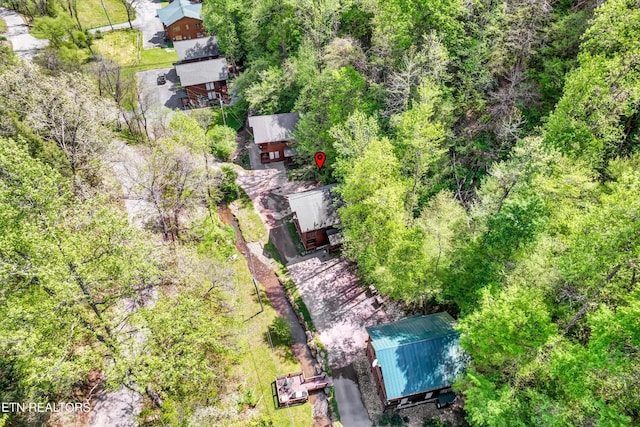 bird's eye view