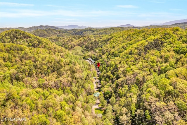 view of mountain feature featuring a forest view