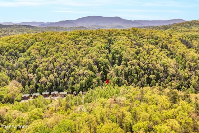 mountain view with a forest view
