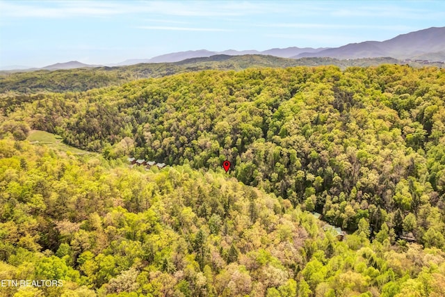 aerial view with a forest view and a mountain view
