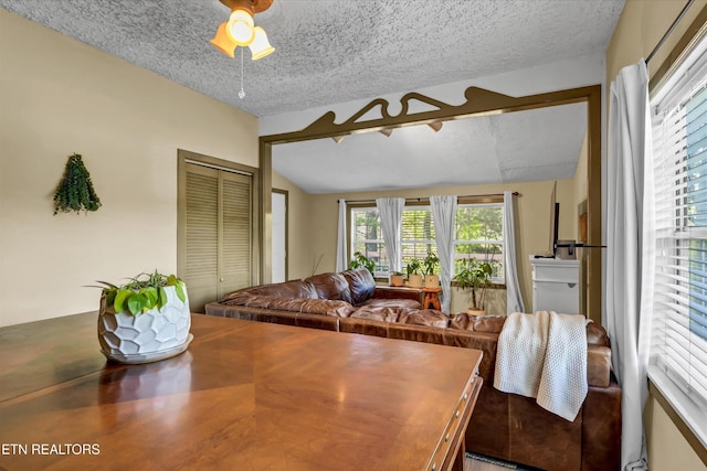 2220 Thorn Grove Pike, Knoxville, TN 37914 - dining area featuring a textured ceiling and lofted ceiling