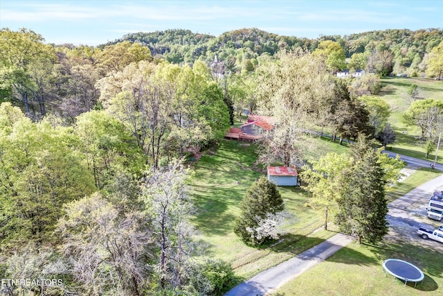 2220 Thorn Grove Pike, Knoxville, TN 37914 - drone / aerial view featuring a wooded view