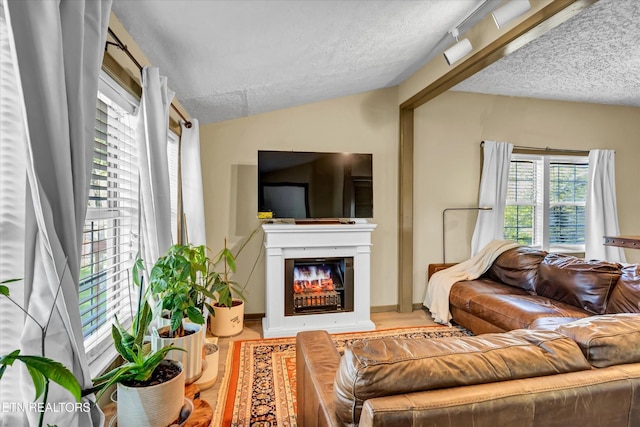 2220 Thorn Grove Pike, Knoxville, TN 37914 - living room with a textured ceiling, vaulted ceiling, and a glass covered fireplace