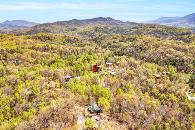 drone / aerial view with a view of trees and a mountain view
