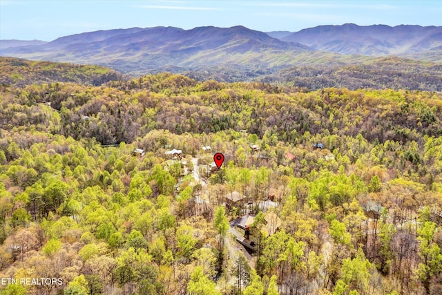 property view of mountains featuring a view of trees