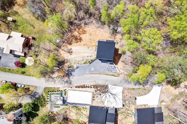 bird's eye view