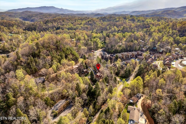 415 Silver Maple Ln, Gatlinburg, TN 37738 - birds eye view of property with a view of trees and a mountain view