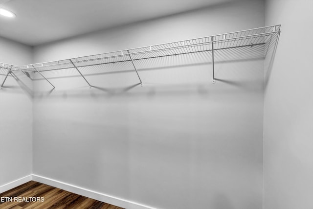 walk in closet featuring dark wood-style floors