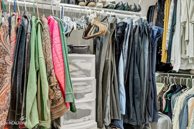view of walk in closet