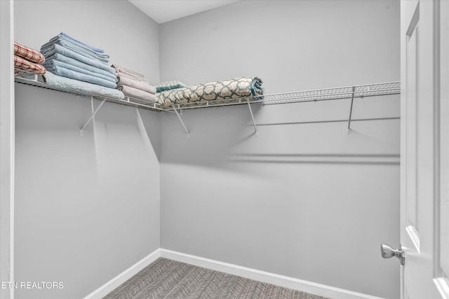 spacious closet with carpet floors