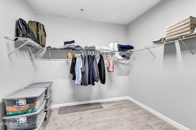 spacious closet with carpet floors
