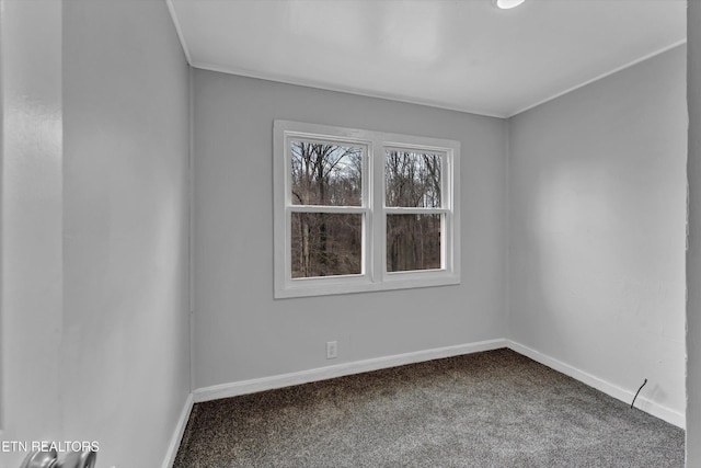carpeted spare room featuring baseboards and ornamental molding