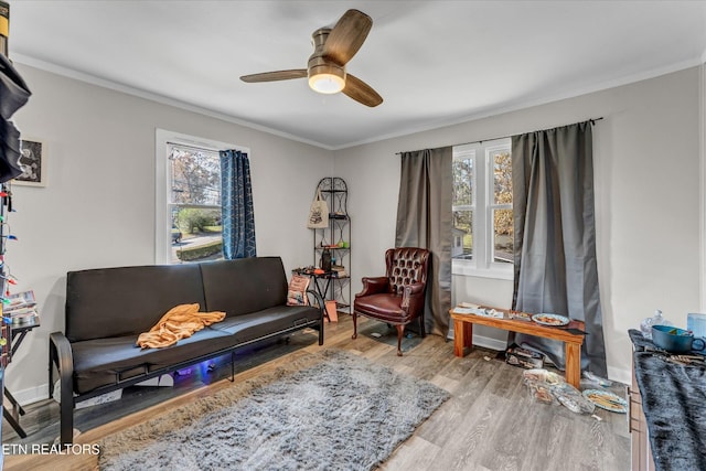 living area featuring ceiling fan, ornamental molding, and wood finished floors