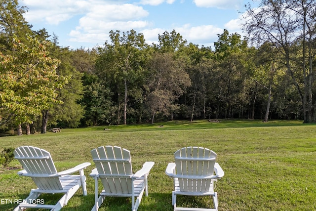 view of yard with a forest view