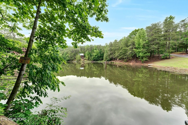 view of water feature with a forest view