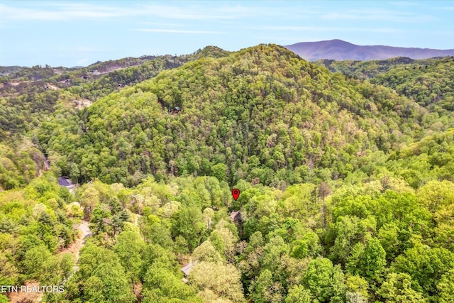 3178 N Clear Fork Rd, Sevierville, TN 37862 - mountain view featuring a forest view