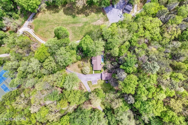 3178 N Clear Fork Rd, Sevierville, TN 37862 - bird's eye view