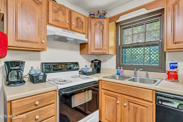 3178 N Clear Fork Rd, Sevierville, TN 37862 - kitchen featuring range with electric stovetop, light countertops, under cabinet range hood, a sink, and dishwasher